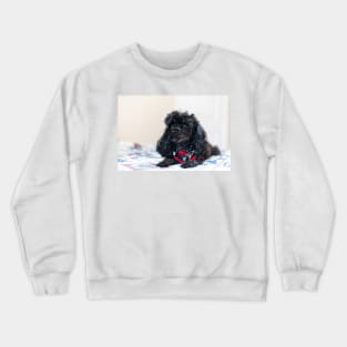 Queen of the toy poodles Crewneck Sweatshirt